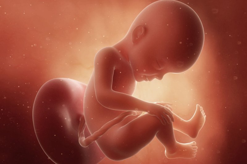 Jak wygląda dziecko w 27 tygodniu ciąży?