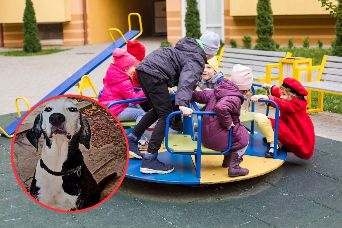 Dzieci na przedszkolnym placu zabaw.