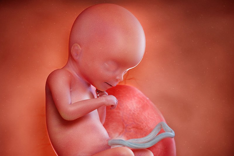 Jak wygląda dziecko w 18 tygodniu ciąży?