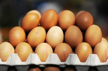 Czy można przechowywać jajka w lodówce? Jedna rzecz zmienia smak jajek Czy można przechowywać jajka w lodówce? Jedna rzecz zmienia smak jajek