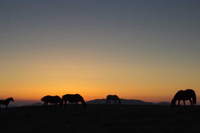 Fot. 123rf.com / E.Bistocchi