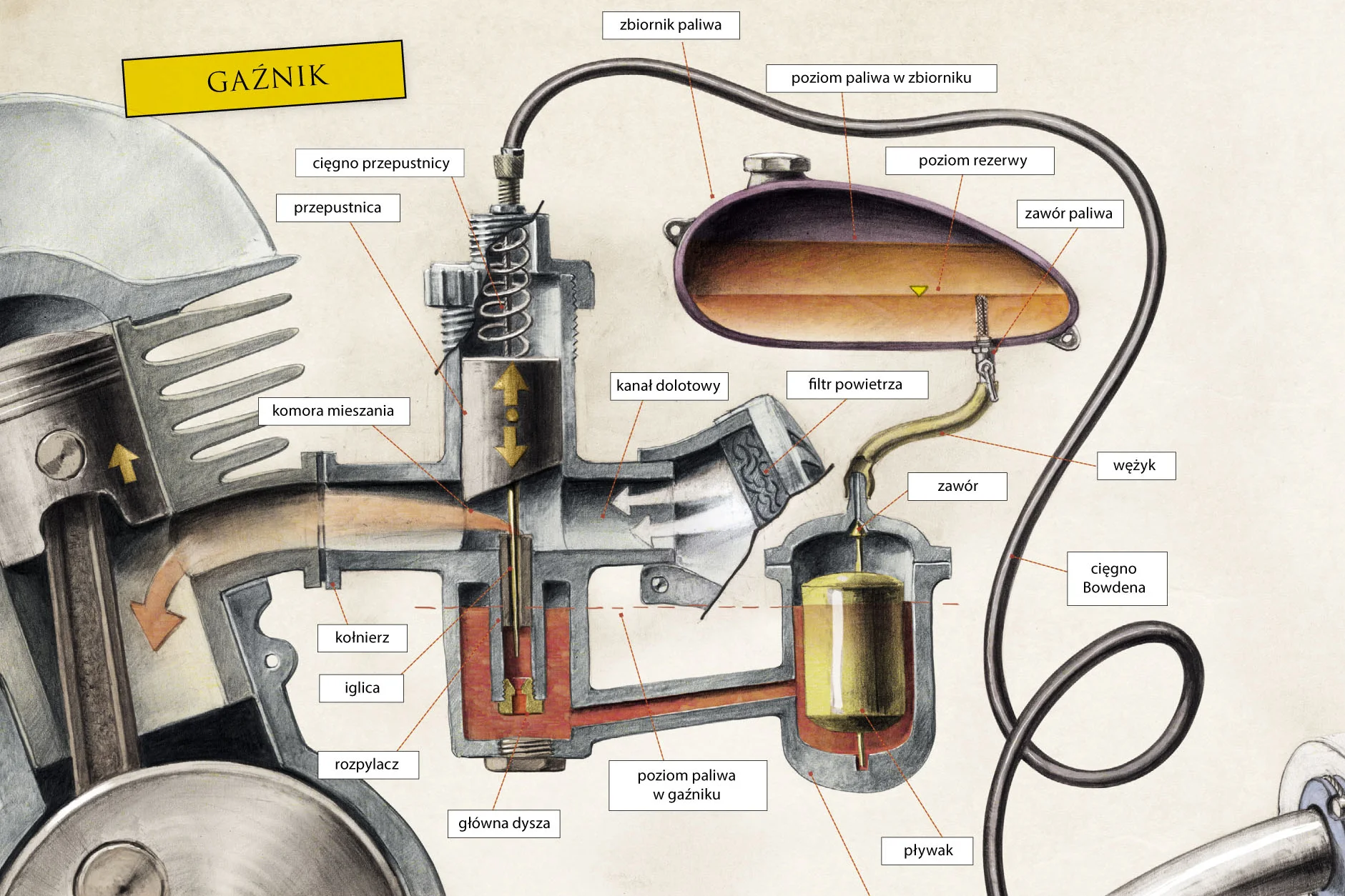 Fot. [url=http://ksiegarnia.proszynski.pl/product,72668]Materiały wydawnictwa Prószyński i S-ka[/url]
