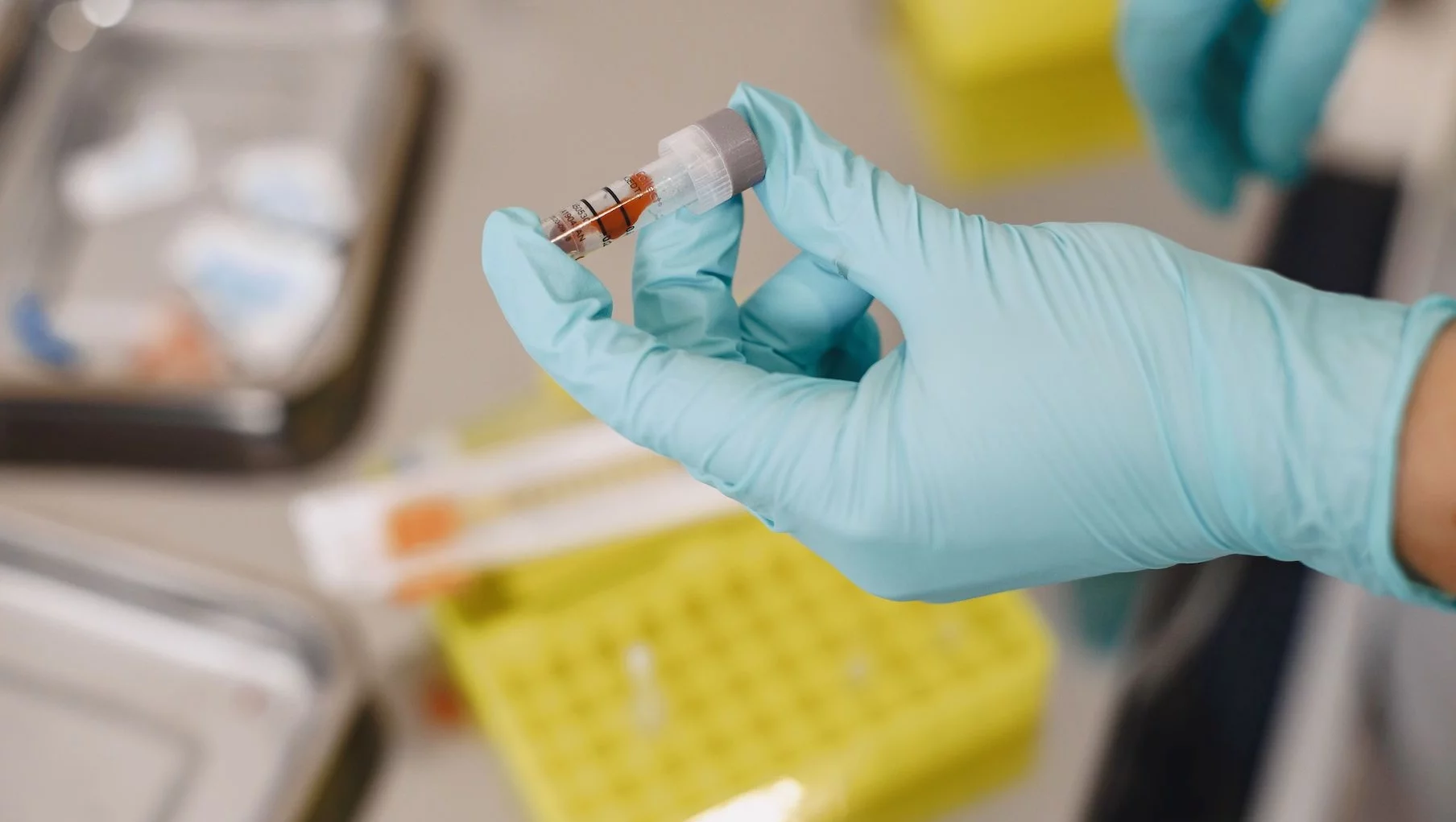 Czy pomylenie zarodków podczas in vitro jest możliwe? "Nie wiemy, ile takich zarodków jest w Polsce"