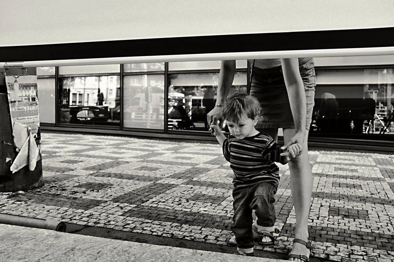 Fot. Flickr.com / [url=https://www.flickr.com/photos/pedrosek/]Peter  Dosek[/url] / [url=https://creativecommons.org/licenses/by/2.0/]CC BY[/url]