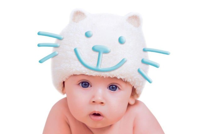 Fot. Materiały prasowe