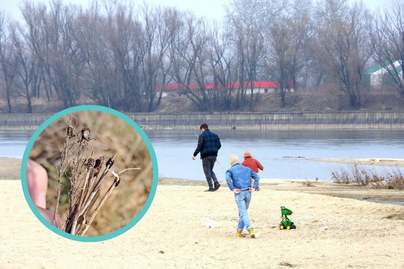 Rodzice z dzieckiem na spacerze nad rzeką. Rodzice z dzieckiem na spacerze nad rzeką.