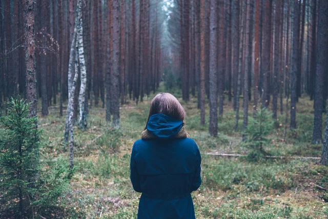 Fot. Pixabay / [url=https://pixabay.com/en/person-forest-outdoor-standing-731476/]Unsplash[/url] / [url=https://pixabay.com/en/service/terms/#download_terms]CC0 Public Domain[/url]