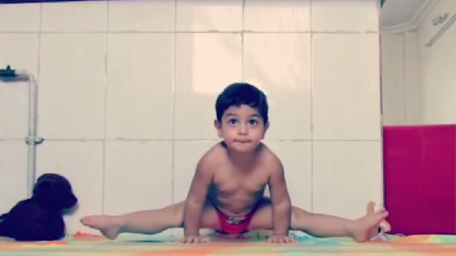 Fot. Screen z [url=http://www.dailymail.co.uk/news/article-3236560/Meet-gymnastics-boy-wonder-Iran-performs-balancing-splits-TVs-climbs-brick-walls-aged-just-TWO.html]Dailymail[/url]