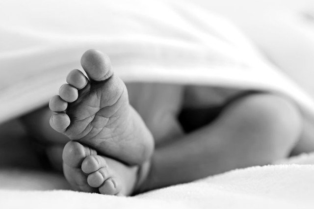 Prawo autorskie: photobac / 123RF Zdjęcie Seryjne