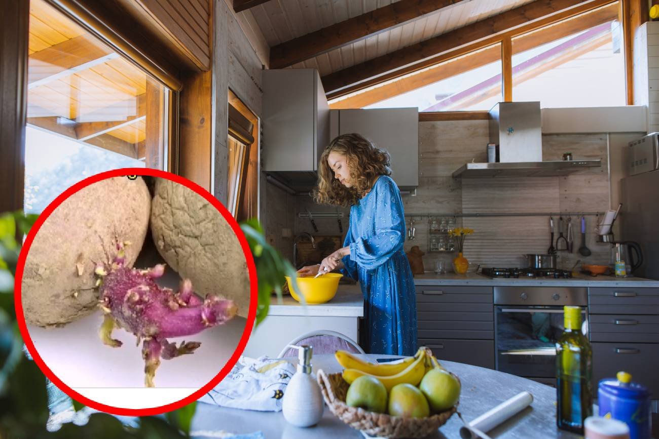 obite jabłka, ziemniaki z pędami, zżółknięty brokuł, plamy na kalafiorze, pomarszczona marchewka, cebula ze szczypiorkiem, brązowe banany, czarne banany, czy wyrzucać dojrzałe owoce, czy używać dojrzałych warzyw