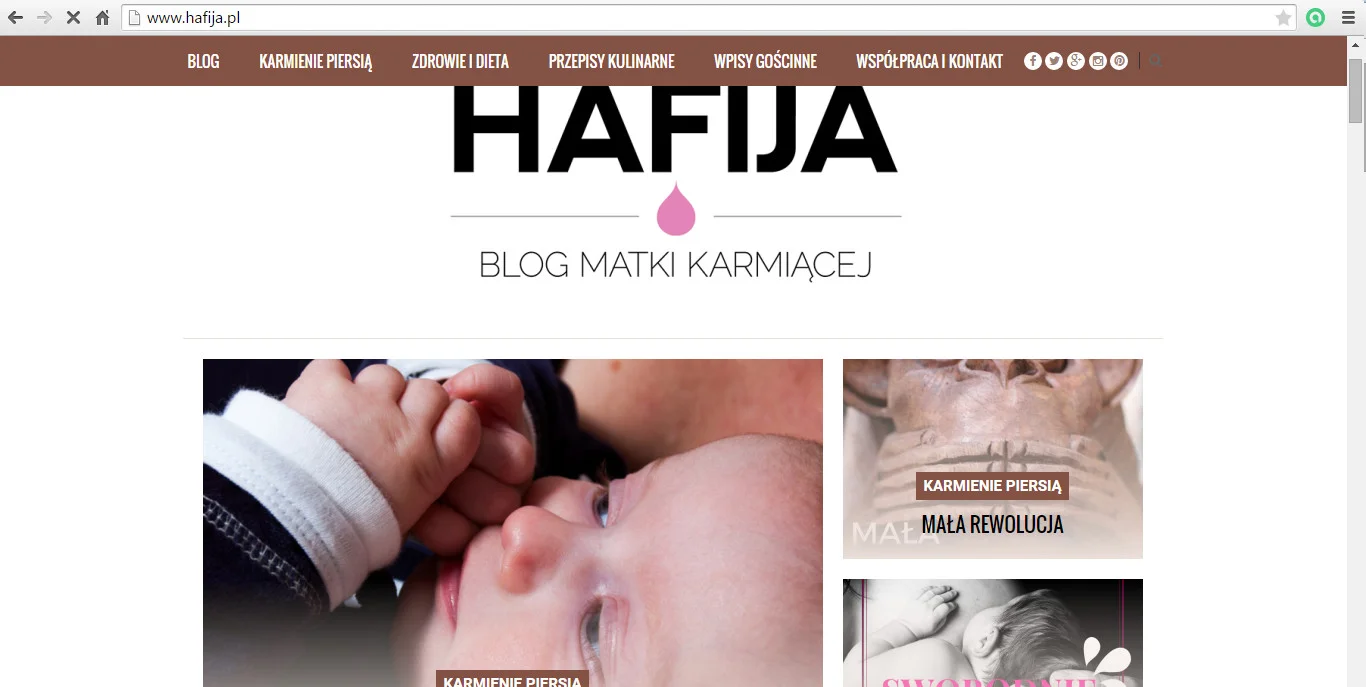 Fot. Screen ze strony [url=http://www.hafija.pl/]Hafija[/url]