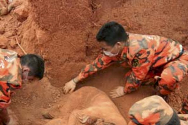 Ratownicy próbują wydostać ofiary trzęsienia ziemi