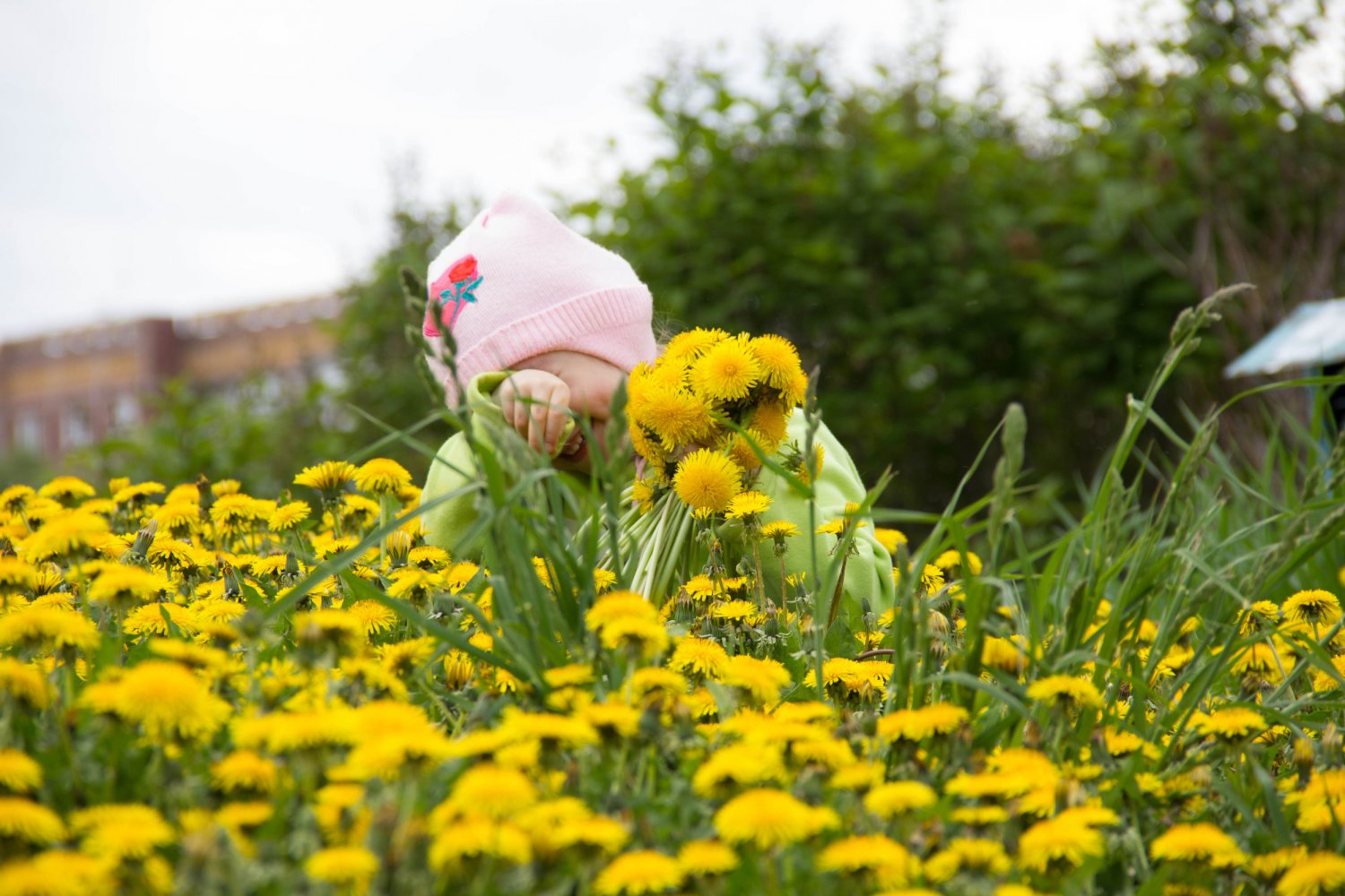 Przedszkolak w mau nie potrzebuje czapki