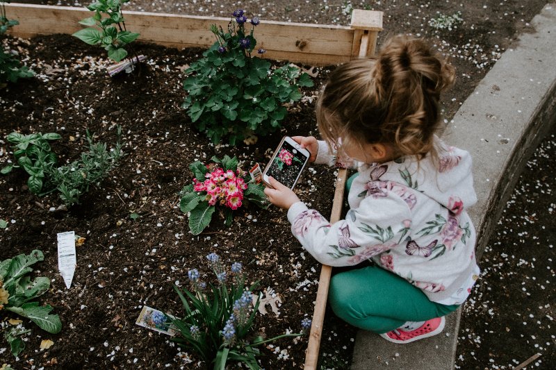 Sadzenie roślin to ekologia, żywienie i aktywność  fizyczna w jednym