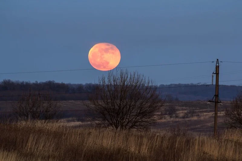 Zaćmienie księżyca 2020 - jak wpływa na samopoczucie i co na to astrologia?
