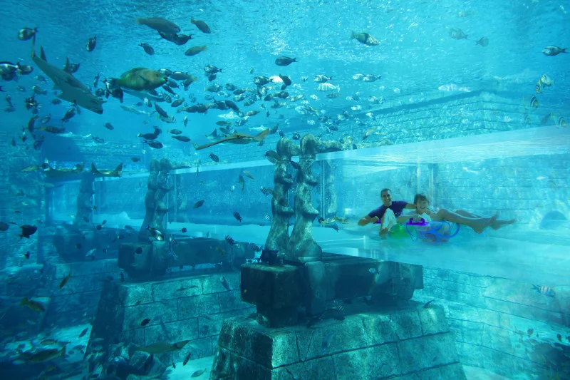 Dubajski Aquaventure Waterpark pozwala cieszyć się wodnymi zabawami w obecności morskiej fauny