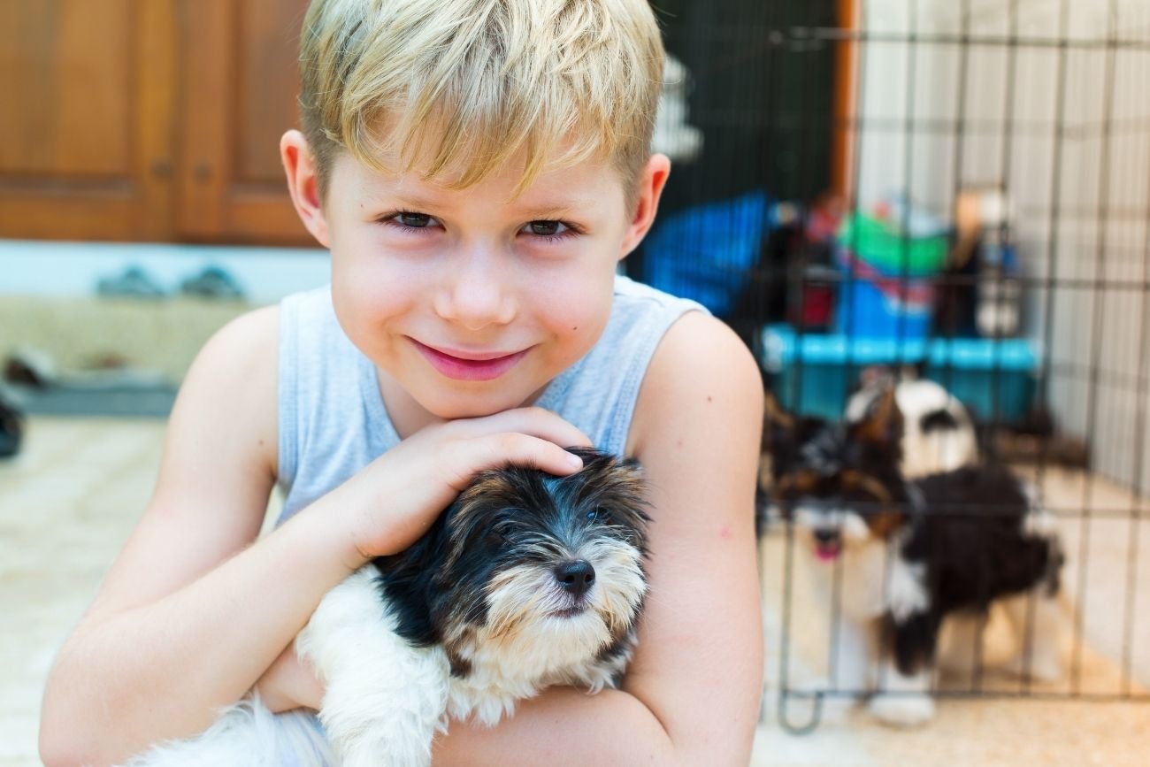 Dziecko dostaje psa w prezencie urodzinowym