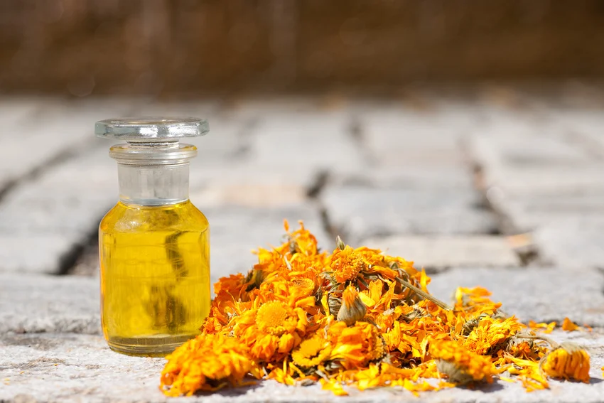 W 100 proc. certyfikowane kosmetyki naturalne i organiczne, przeznaczone dla niemowląt i dzieci, rodzice znajdą w katalogu Weleda