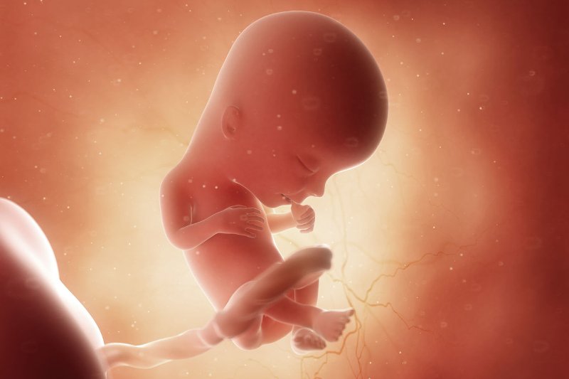 13 tydzień ciąży: jak wygląda dziecko