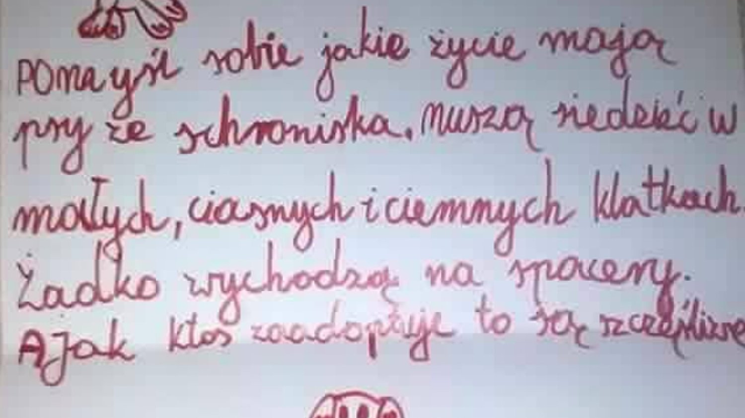Fot. screen z Facebooka