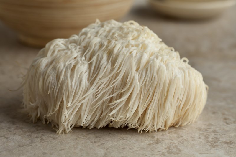 Soplówka jeżowata (ekstrakt z grzyba Lion's Mane) - właściwości, cena Soplówka jeżowata (ekstrakt z grzyba Lion's Mane) - właściwości, cena