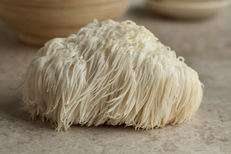 Soplówka jeżowata (ekstrakt z grzyba Lion's Mane) - właściwości, cena