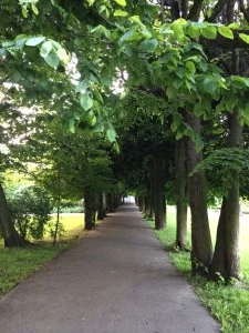 Cieniste aleje zwane bindażami