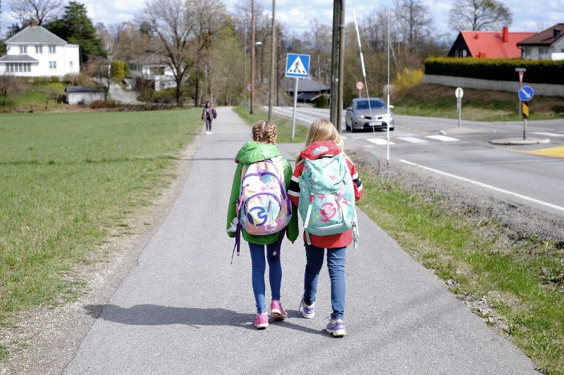 Wszawica jest nadal ogromnym problemem w większości szkół.