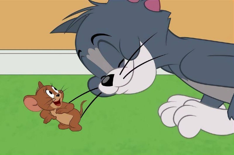 W związku z premierą piątego sezonu kreskówki "Tom i Jerry Show", która odbędzie się 1 marca o godzinie 16:00 na antenie Boomeranga, zebraliśmy garść ciekawostek dotyczących niezapomnianej animacji i jej kultowych bohaterów
