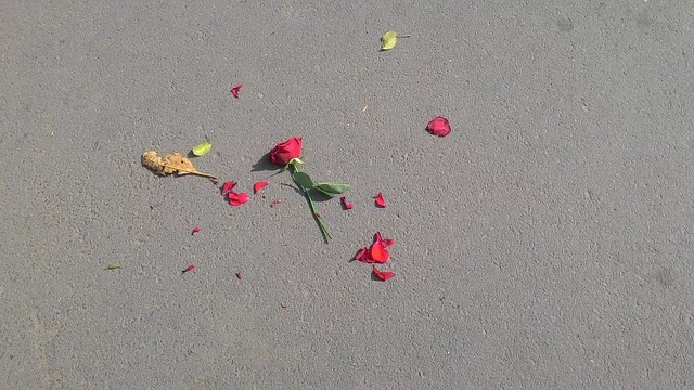 Fot. Pixabay /[url=http://pixabay.com/pl/rose-kwiat-broken-z%C5%82amane-serce-640443/]parthrpatel800[/url] / [url=http://bit.ly/CC0-PD]CC0 Public Domain[/url]