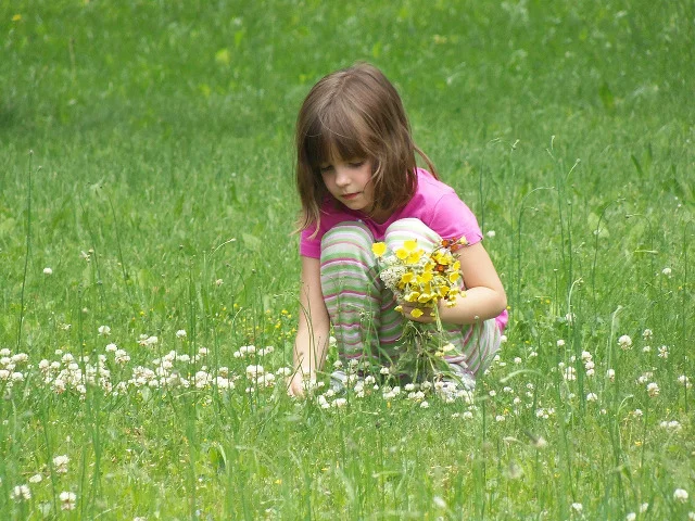 Fot. Pixabay / [url=http://pixabay.com/en/picking-flowers-girl-child-391610/]smblake[/url] / [url=http://pixabay.com/en/service/terms/#download_terms]CC0 Public Domain[/url]