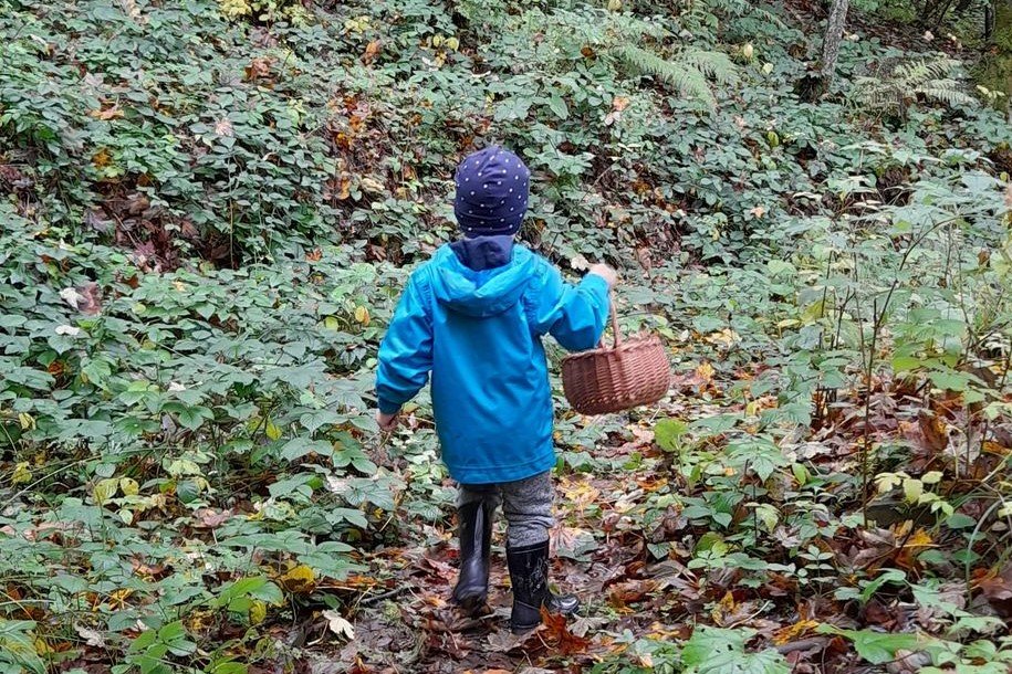 Nie znasz się na grzybach? To ich nie jedz, a dzieciom nie dawaj wcale