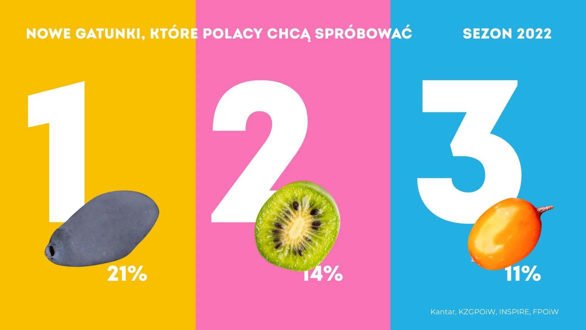 superfoods, superowoce, rokitnik, jagoda kamczacka, minikiwi