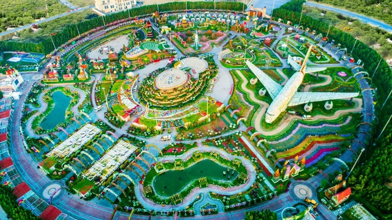 Dubai Miracle Garden, ogromny ogród kwiatowy w Dubaju