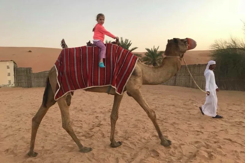 Jazda na wielblądzie w ramach Desert Safari Dubai