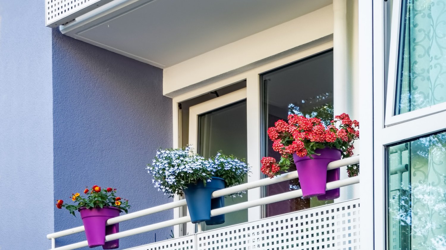 balkon z kwiatami