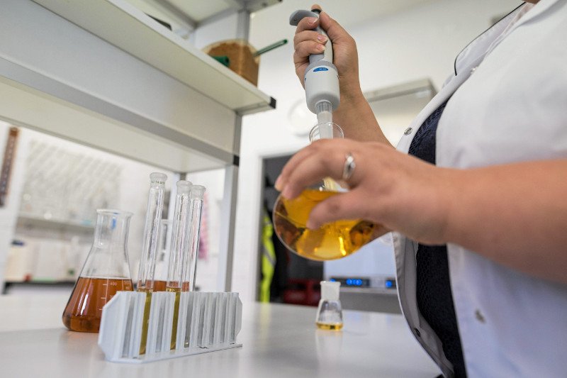 Co może ratować przed rakiem? Naukowcy znaleźli sposób.