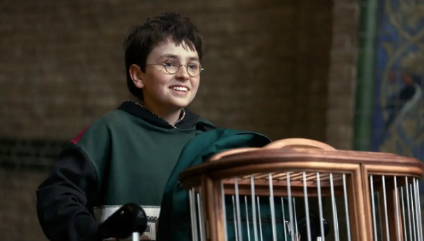 Nowa ekranizacja Harrego Pottera w formie serialu. "Nie powinno się robić takich rzeczy"