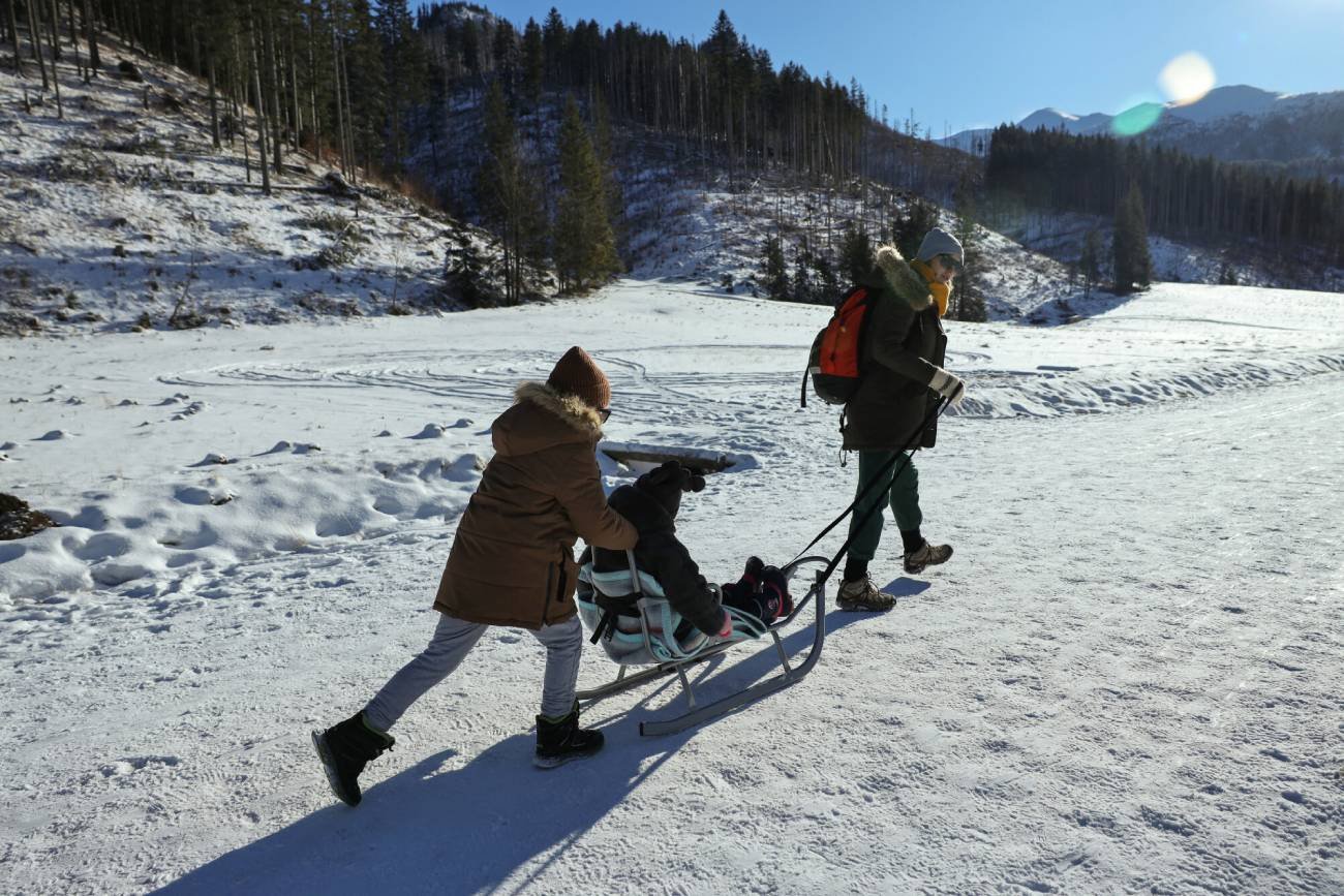 Dzieci jadą na sankach podczas zimowiska. Dzieci jeżdżą na sankach podczas zimowiska.