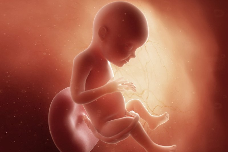 Dziecko w 28 tygodniu ciąży.