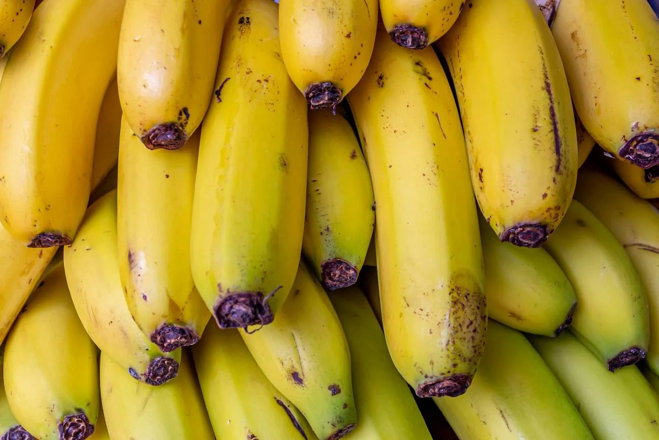 zielone banany, czy można jeść zielone banany, brązowe banany, dojrzałe banany, kolor banana, banany właściwości
