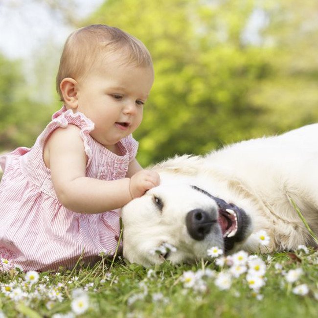 Dziecko i pies