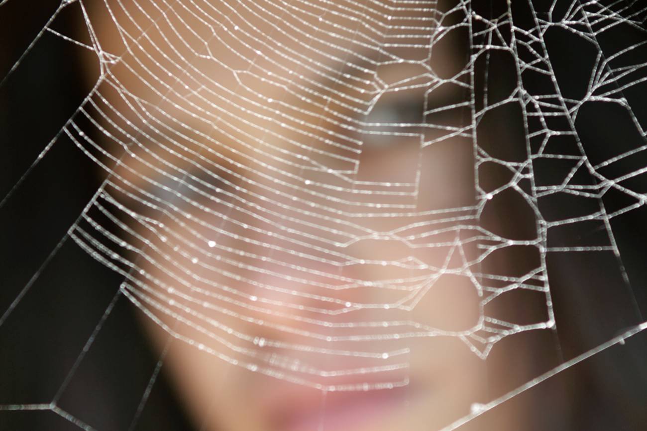 jak odstraszyć pająki, pająki do domu, pająki w mieszkaniu, czy zabijać pająki, sposób na pająki