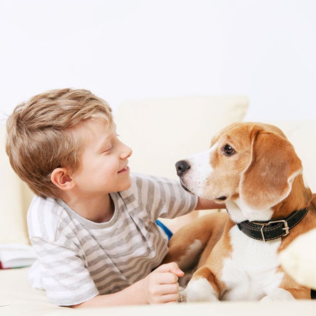 Dziecko i pies, dwóch przyjaciół