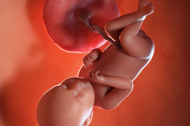 Jak wygląda dziecko w 39 tygodniu ciąży?