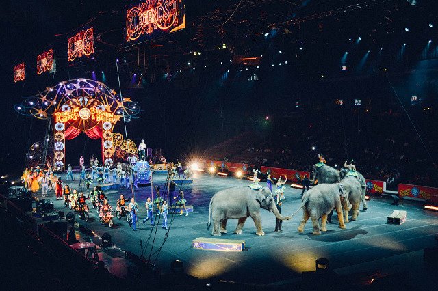 Fot. Pixabay / [url=https://pixabay.com/en/circus-arena-ring-manege-fun-show-828680/]Unsplash[/url] / [url=https://pixabay.com/en/service/terms/#usage]CC0 Public Domain[/url]