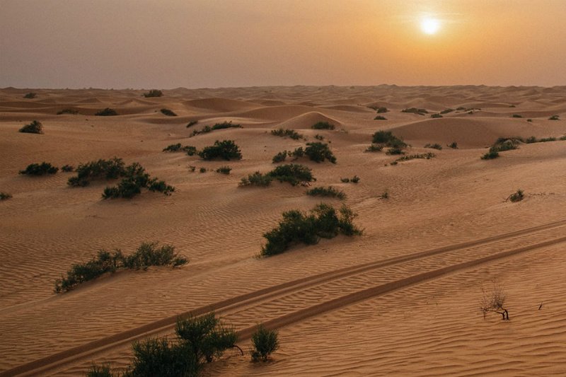 Co ciekawego można robić na pustyni? Przedstawiamy 5 zaskakujących propozycji spędzenia urlopu pośród piaskowych wydm Dubaju,  najpopularniejszego wakacyjnego miasta Bliskiego Wschodu