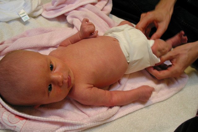 Fot. Flickr/[url=https://www.flickr.com/photos/sellerspatton/879097718/]Sellers Pattony[/url] / [url=http://bit.ly/mamadu]CC BY[/url]