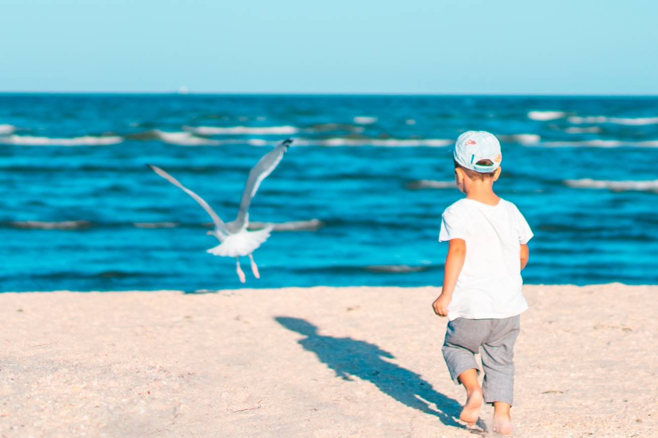 Odważne dziecko samodzielnie spaceruje po plaży.