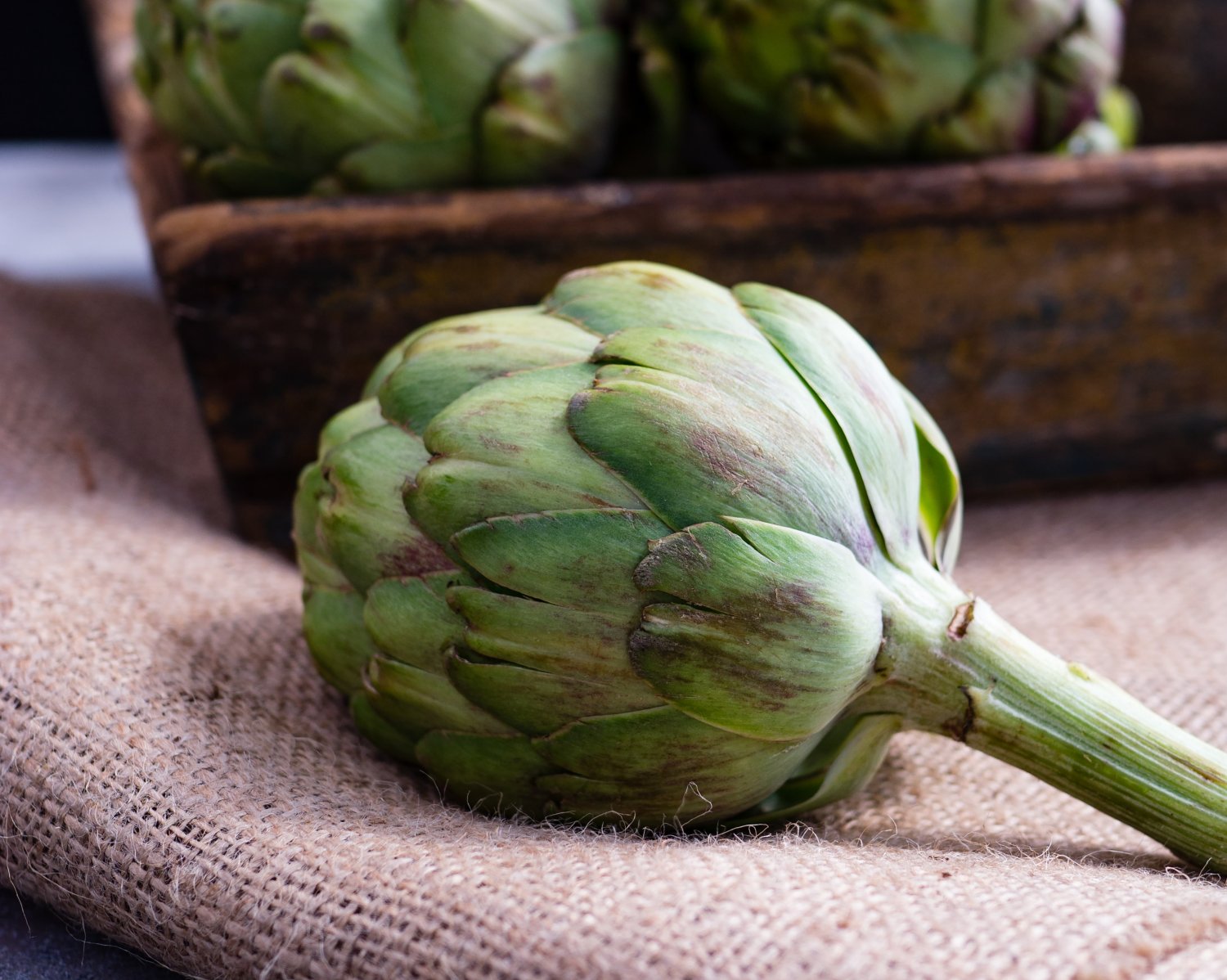 Karczoch to nie tylko pyszne i zdrowe warzywo, ale też piękny kwiat.